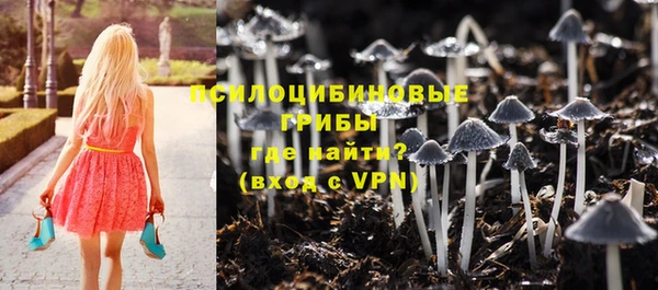 героин Алзамай