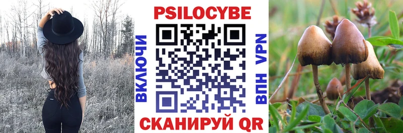 Псилоцибиновые грибы Magic Shrooms  Куровское 